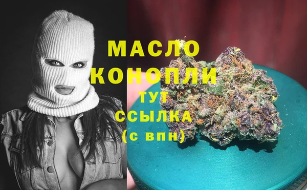 шишки Туринск