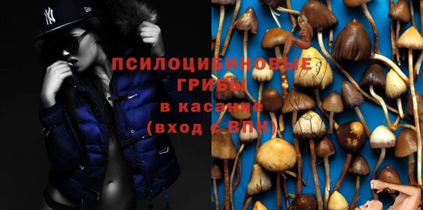гидра Бородино