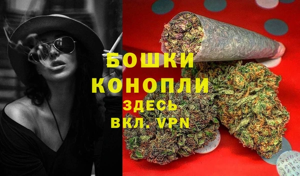 Альфа ПВП Бугульма