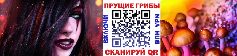 Галлюциногенные грибы прущие грибы  Миньяр 